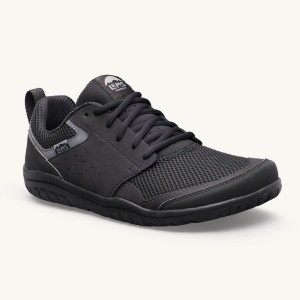 Lems Primal Zen Sneakers Damen Schwarz | DEBGNCF